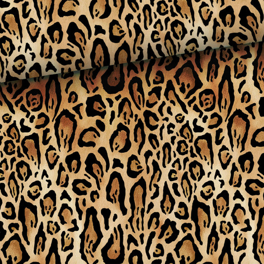 Sommerisoli: Leopard